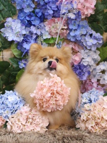 20250622梛都ちゃん